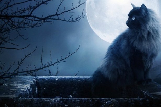 Fake Music Magazine - Журнал о музыке, кино и моде